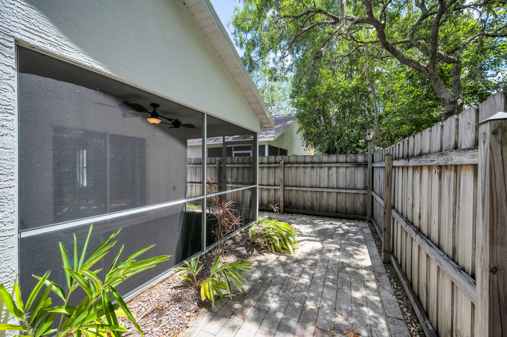 Backyard4