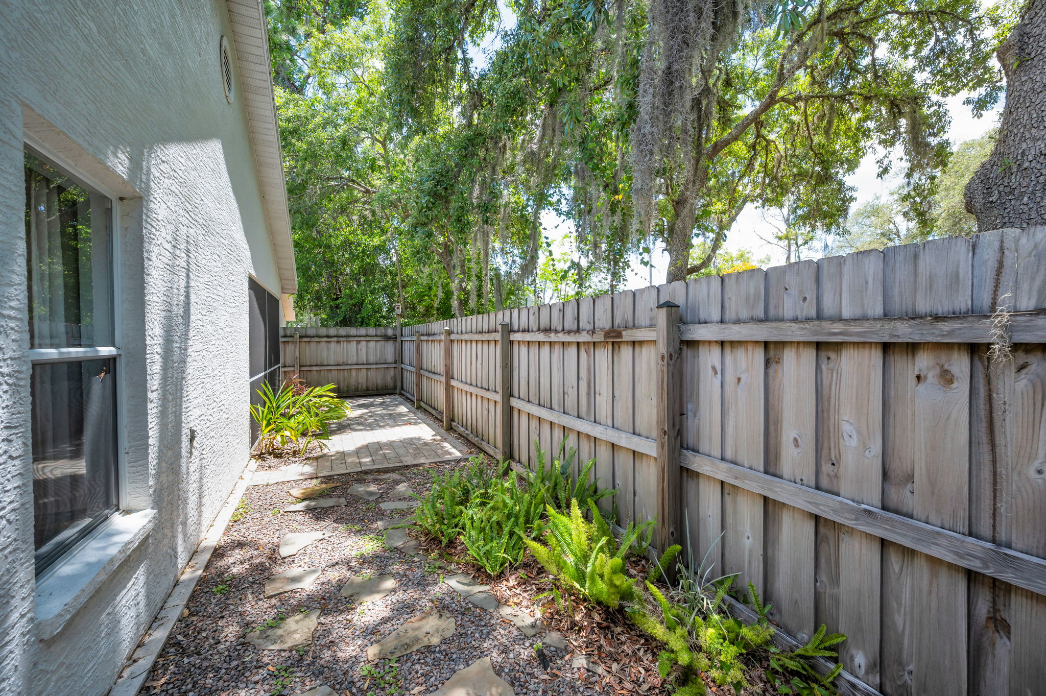 Backyard5
