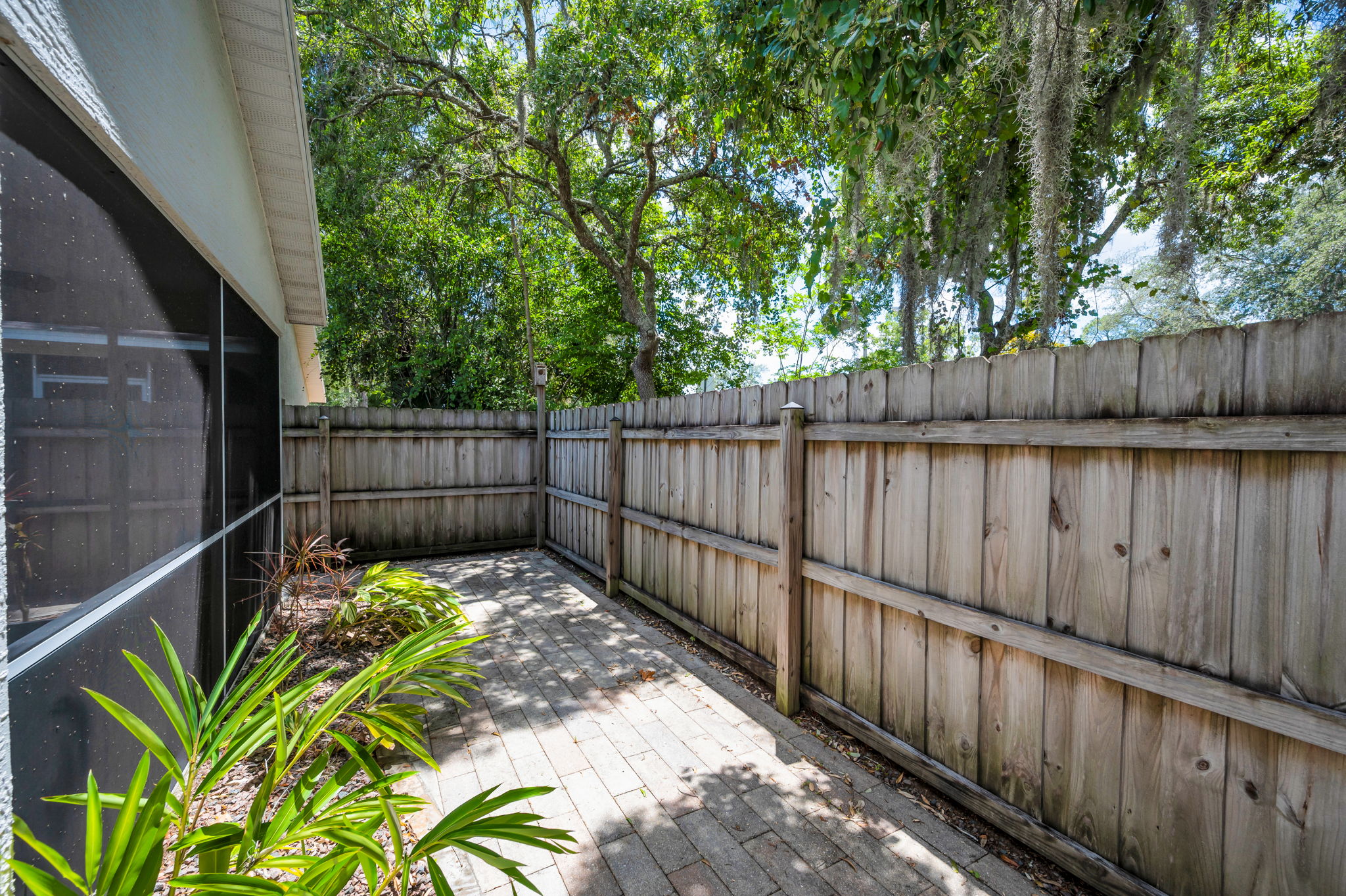 Backyard6