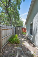 Backyard2
