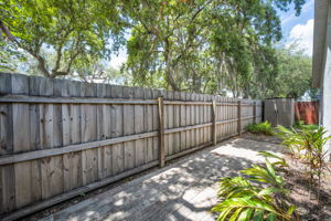 Backyard3