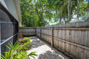 Backyard6