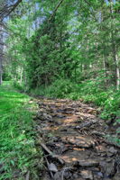  Photo 36