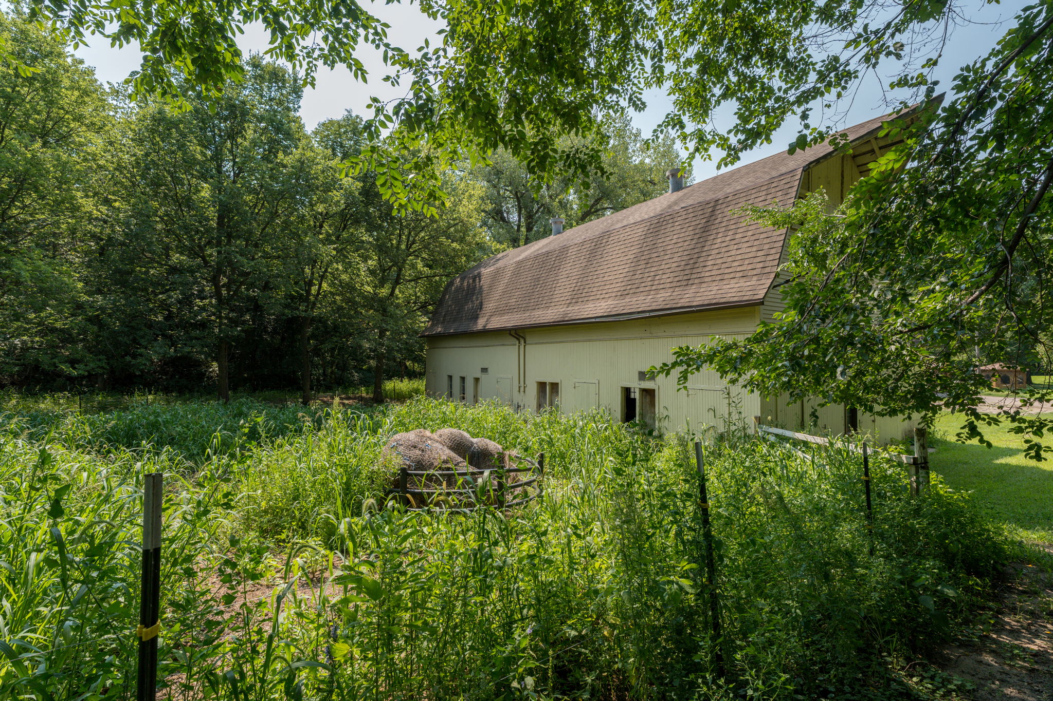  Photo 45