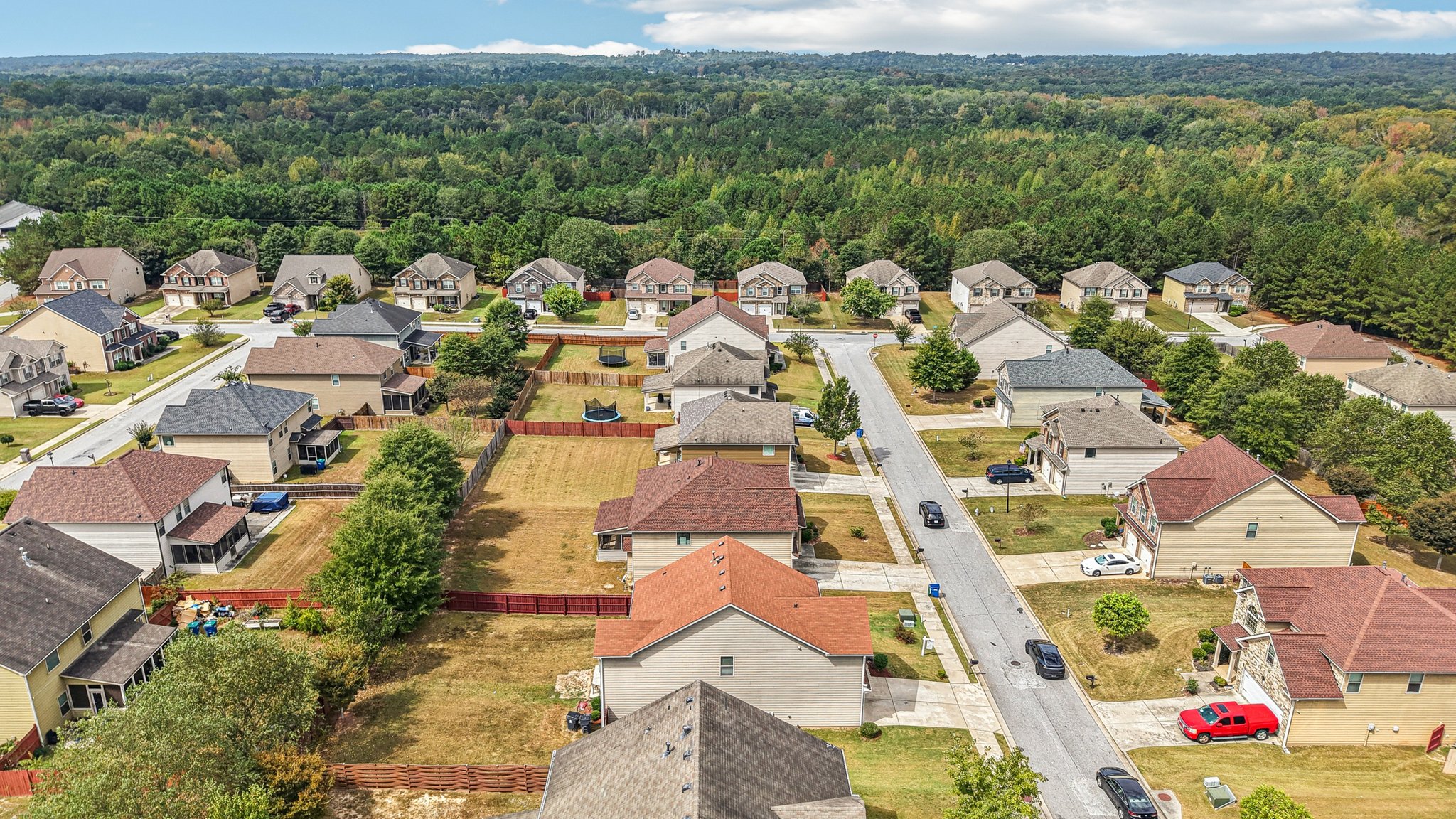 Sylvaner Ln-S2509-048.jpg