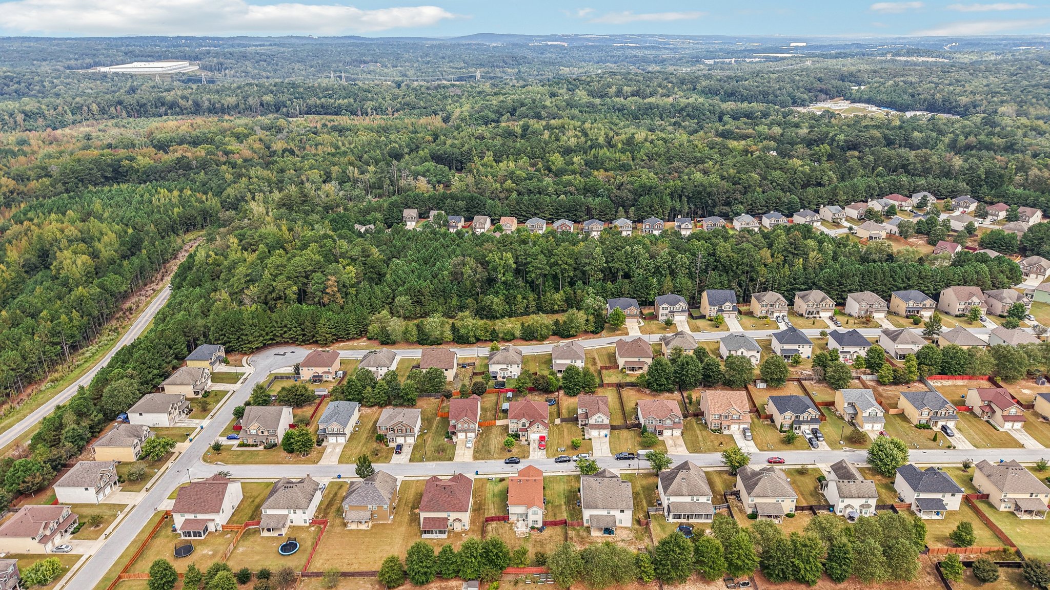 Sylvaner Ln-S2509-055.jpg