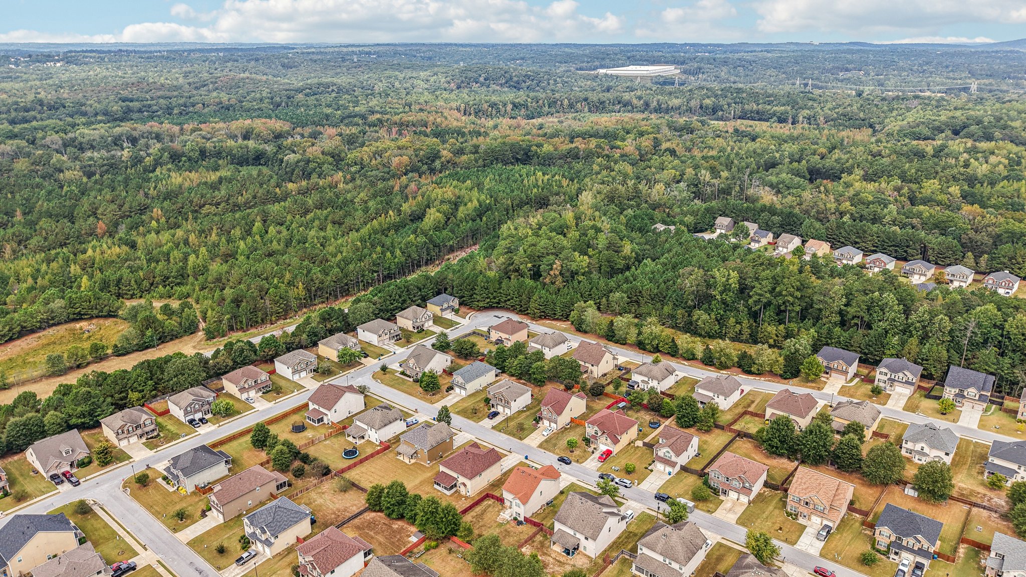 Sylvaner Ln-S2509-056.jpg
