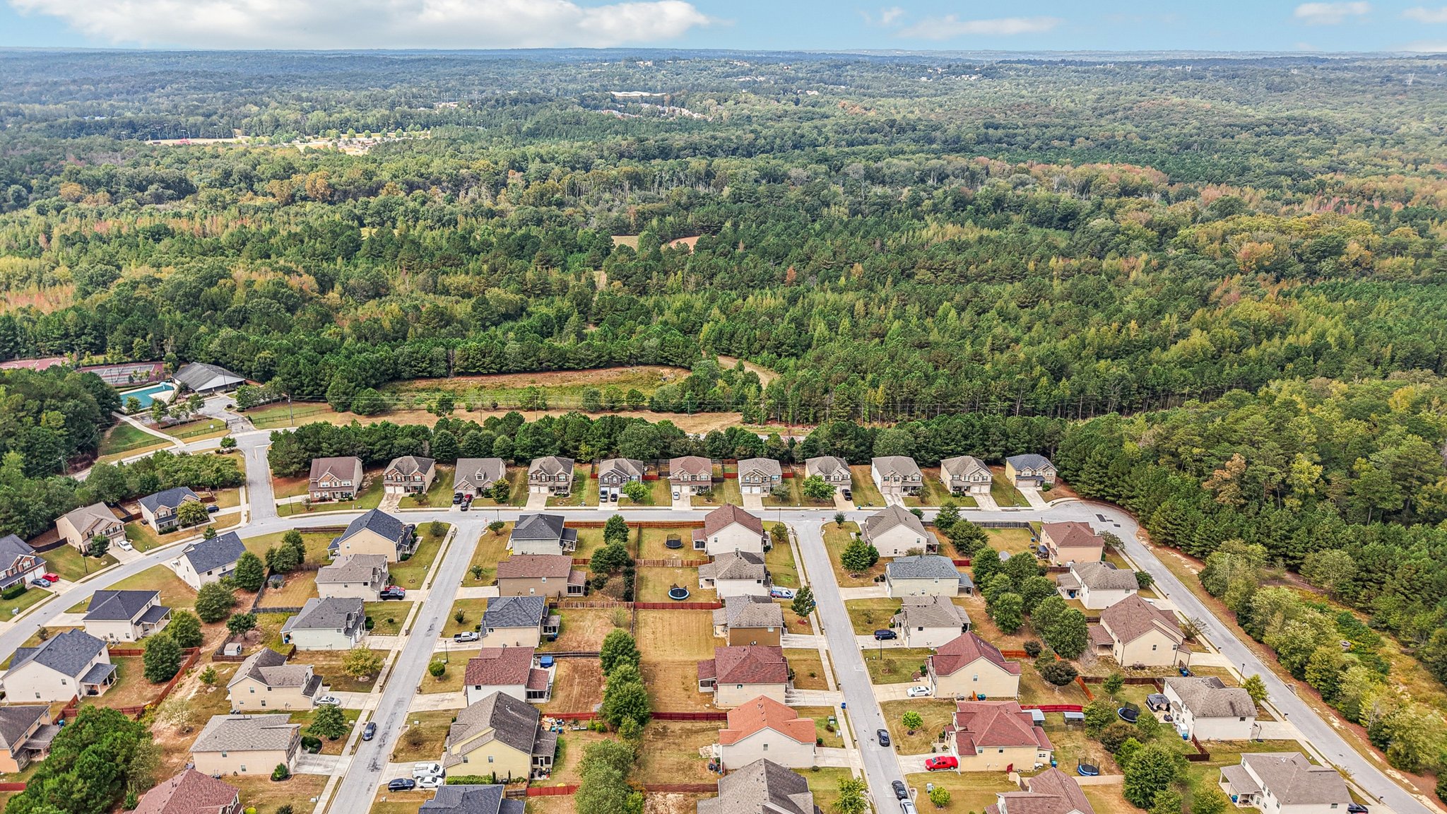 Sylvaner Ln-S2509-057.jpg