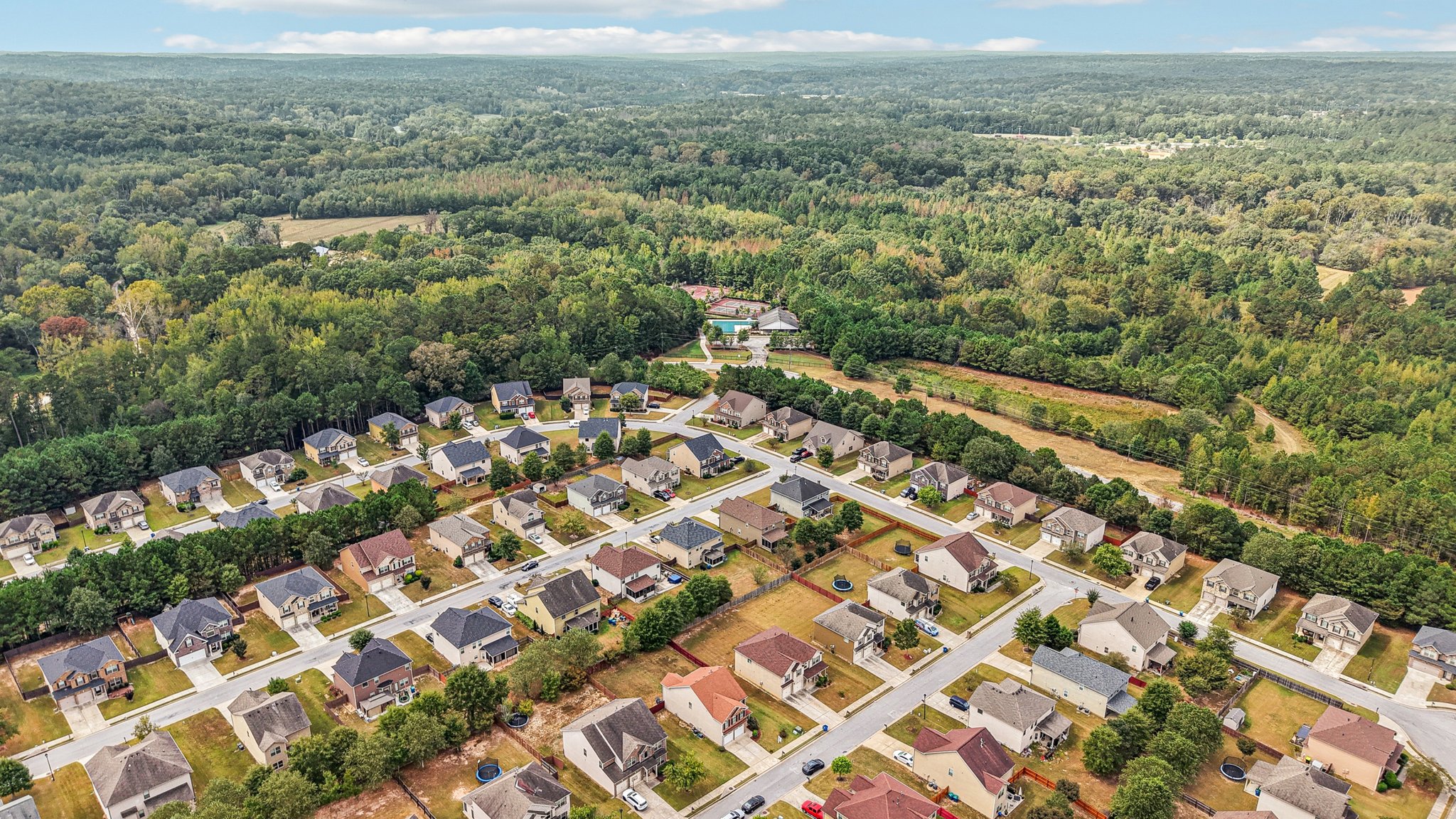Sylvaner Ln-S2509-058.jpg