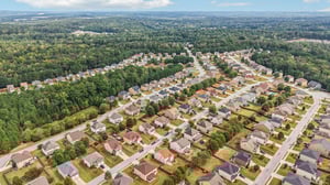 Sylvaner Ln-S2509-054.jpg