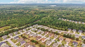 Sylvaner Ln-S2509-056.jpg