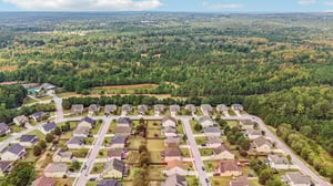 Sylvaner Ln-S2509-057.jpg