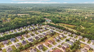 Sylvaner Ln-S2509-058.jpg