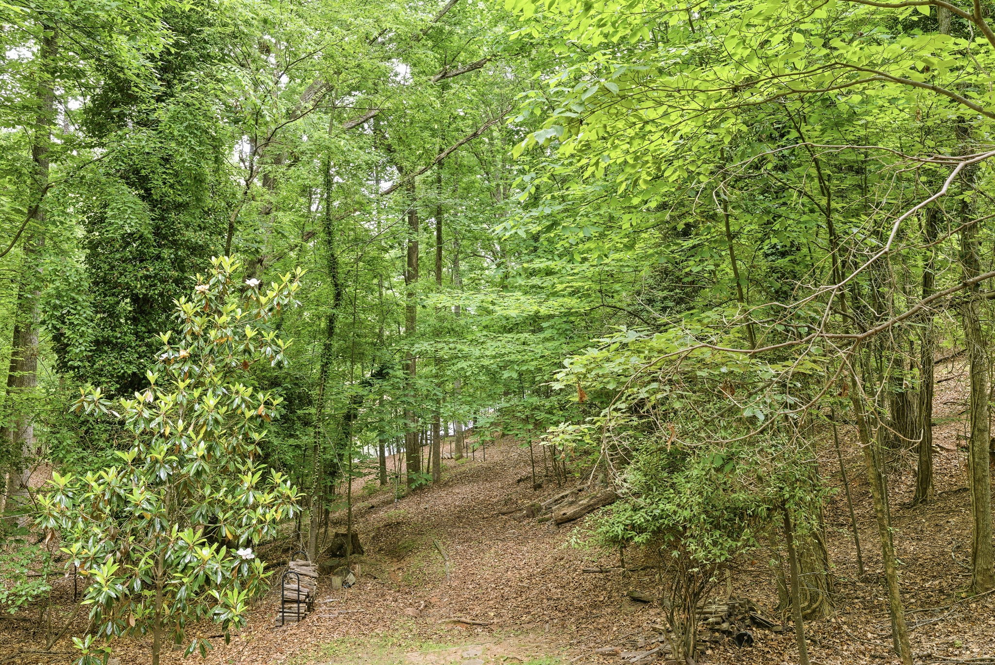 Image-50