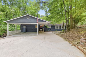 Image-1