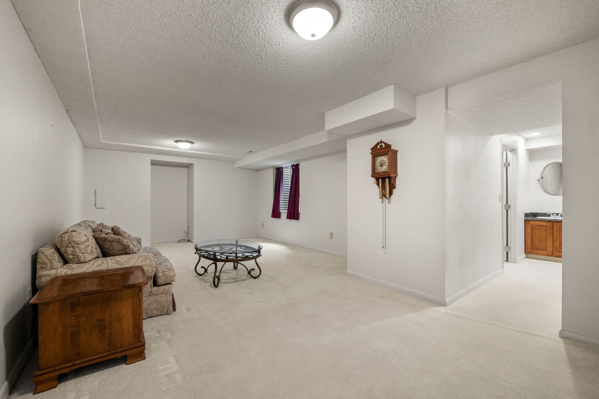 Basement Den 1
