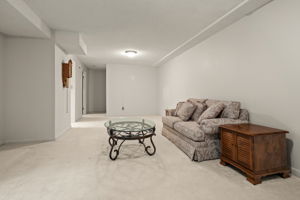 Basement Den 2