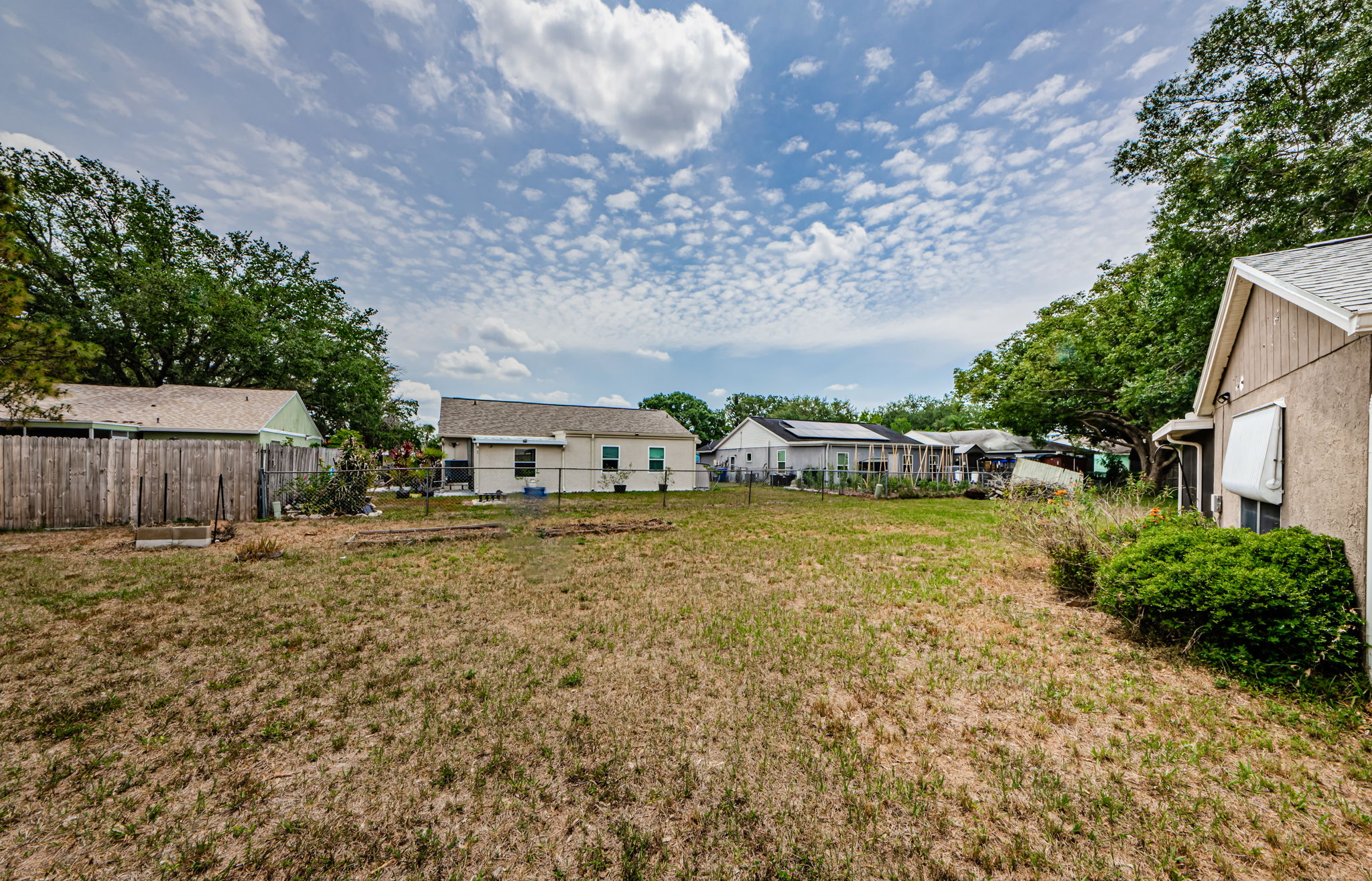 Backyard 5