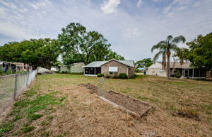 Backyard 4