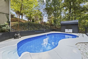  Photo 40