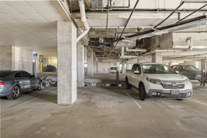  Photo 50