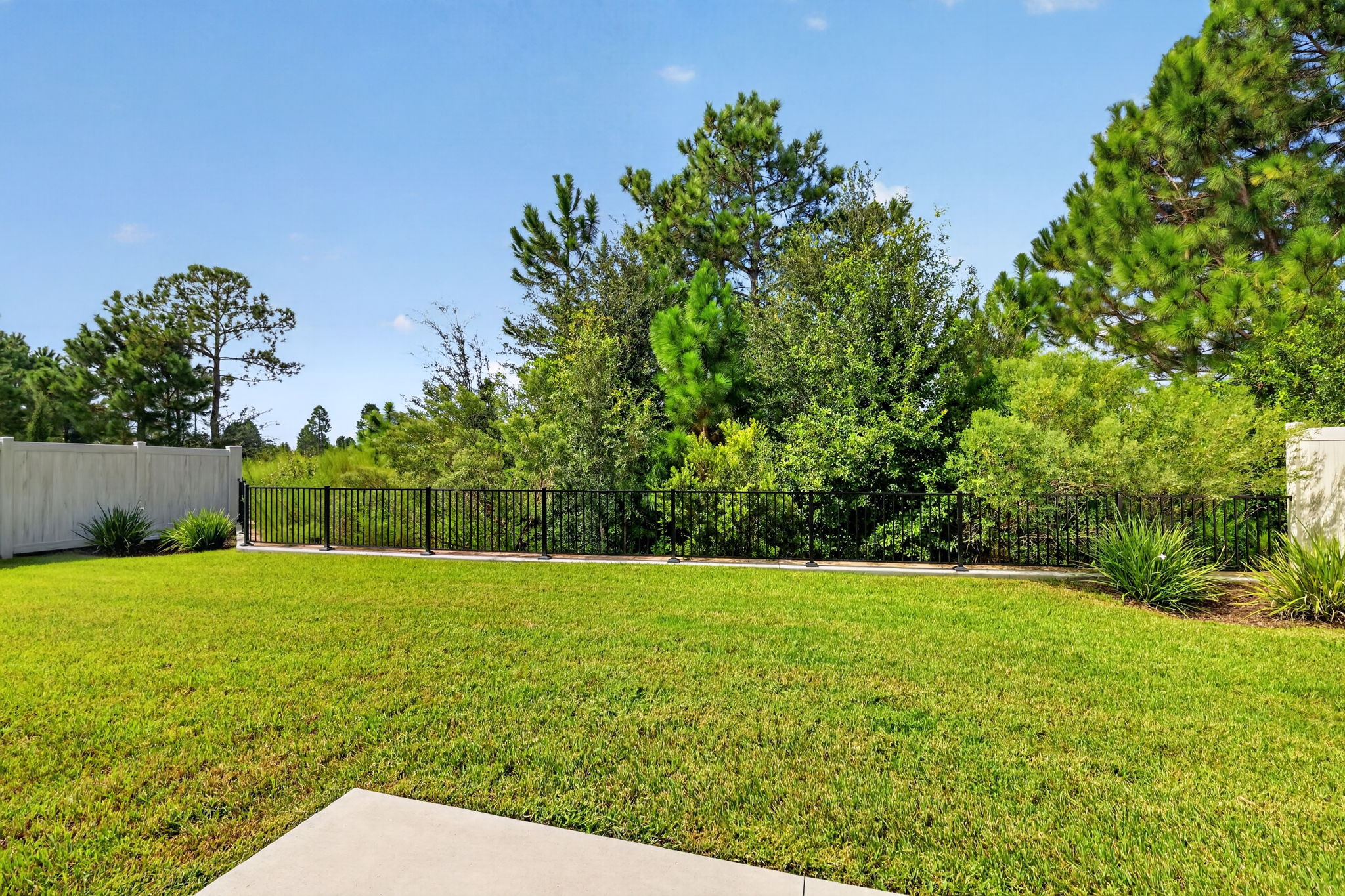 PRIVATE, ENCLOSED Rear Yard with Tranquil Eagle Preserve Views and ROOM FOR A POOL!