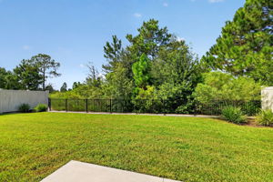 PRIVATE, ENCLOSED Rear Yard with Tranquil Eagle Preserve Views and ROOM FOR A POOL!