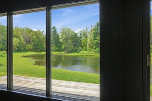  Photo 49