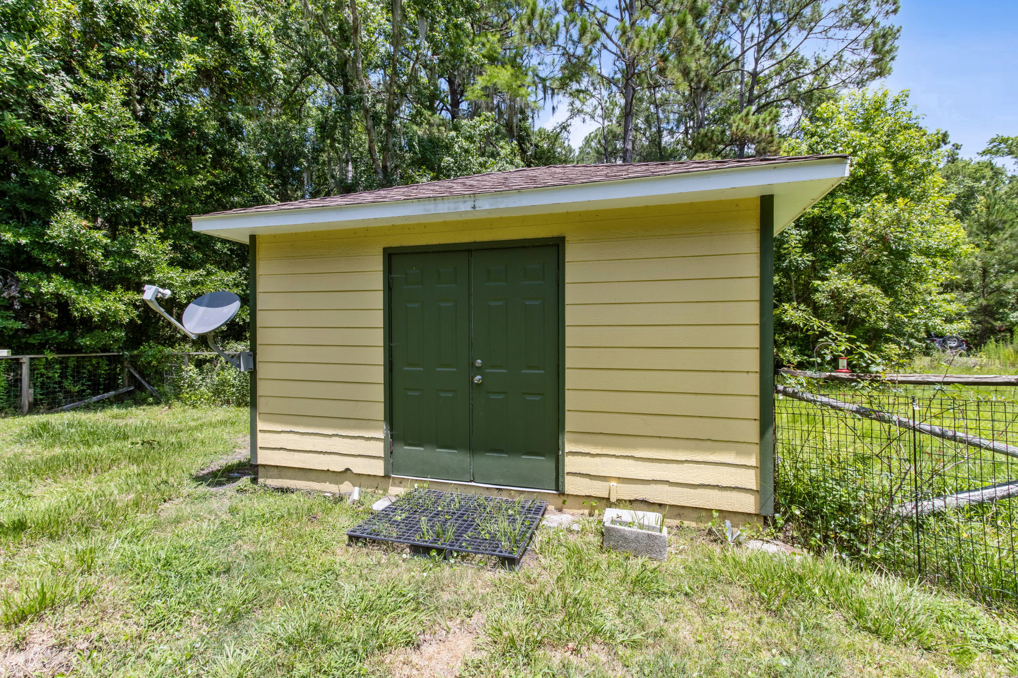 Shed