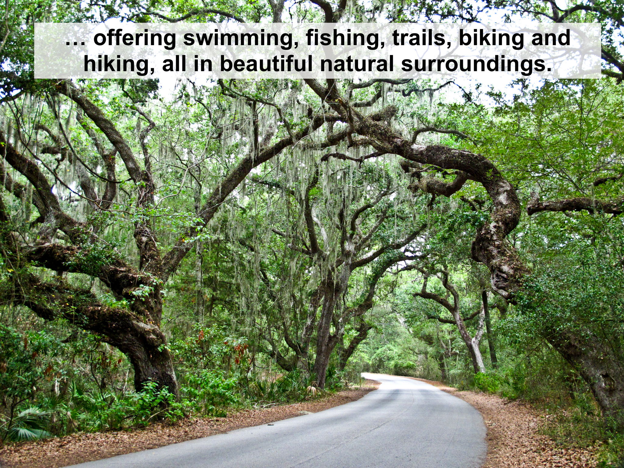 ...with swimming, fishing, biking, hiking, and shaded trails beneath Amelia Island’s moss-draped oaks.