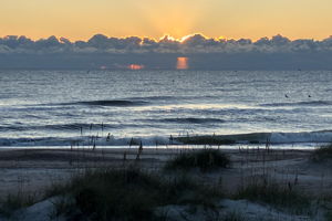 ...no two the same, but all equally soul nourishing.