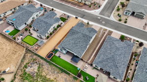 Birds Eye