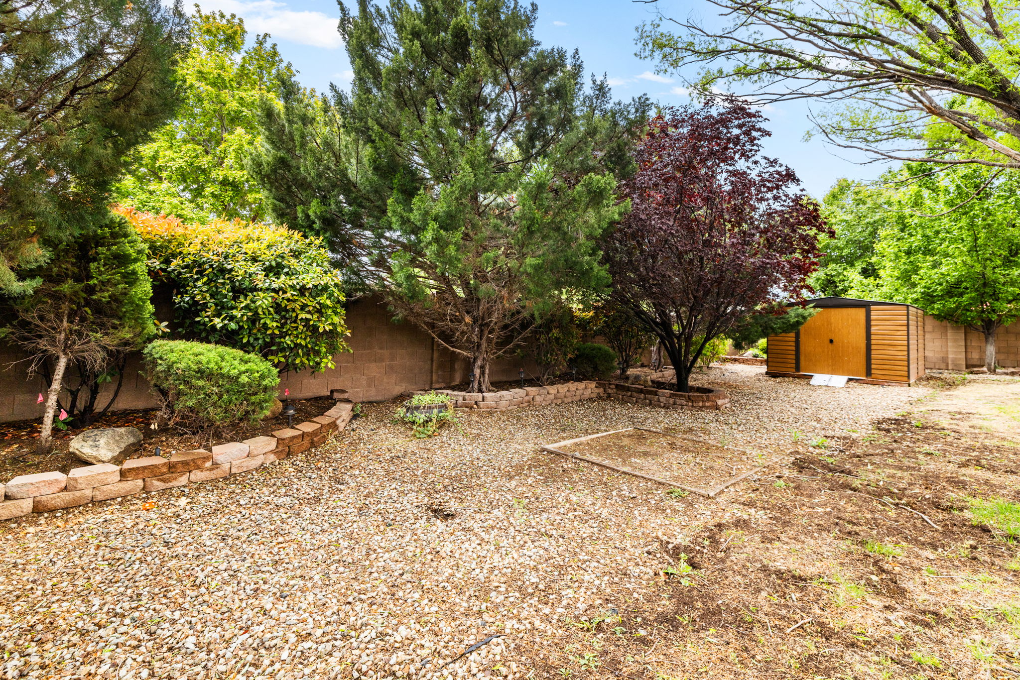 Backyard (4)