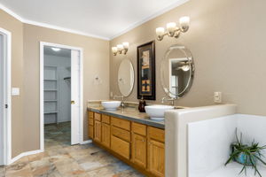 Primary Bathroom (3)