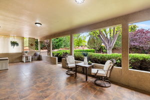 Back Patio (1)