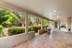 Back Patio (2)