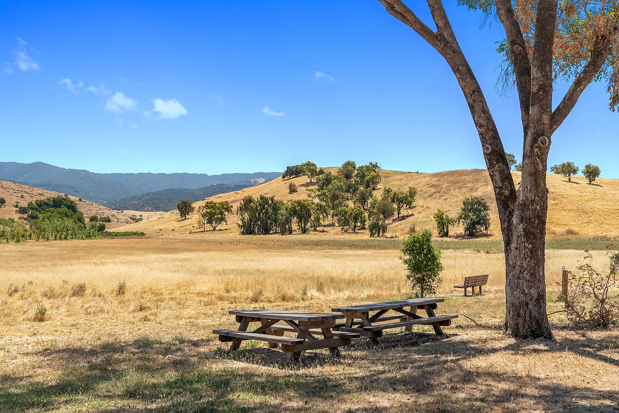 Santa Teresa County Park