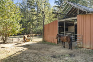 Perfect for some horses