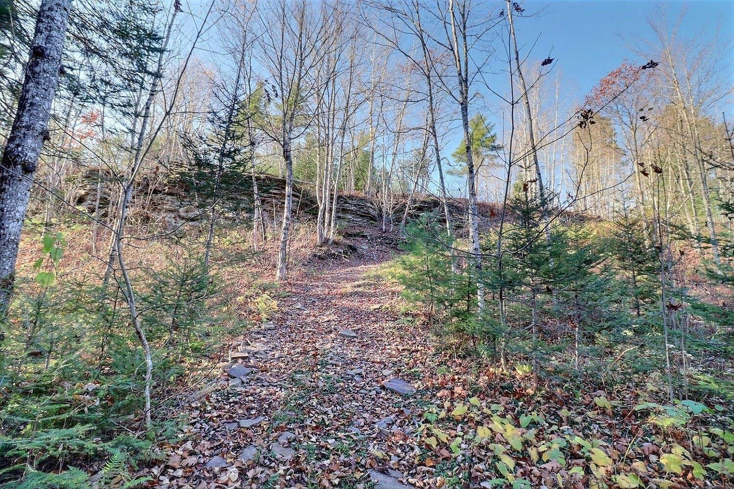 7790 Route 112, Hunters Home, NB E4C 4J5 PROPICSTA & MeasureMySpace