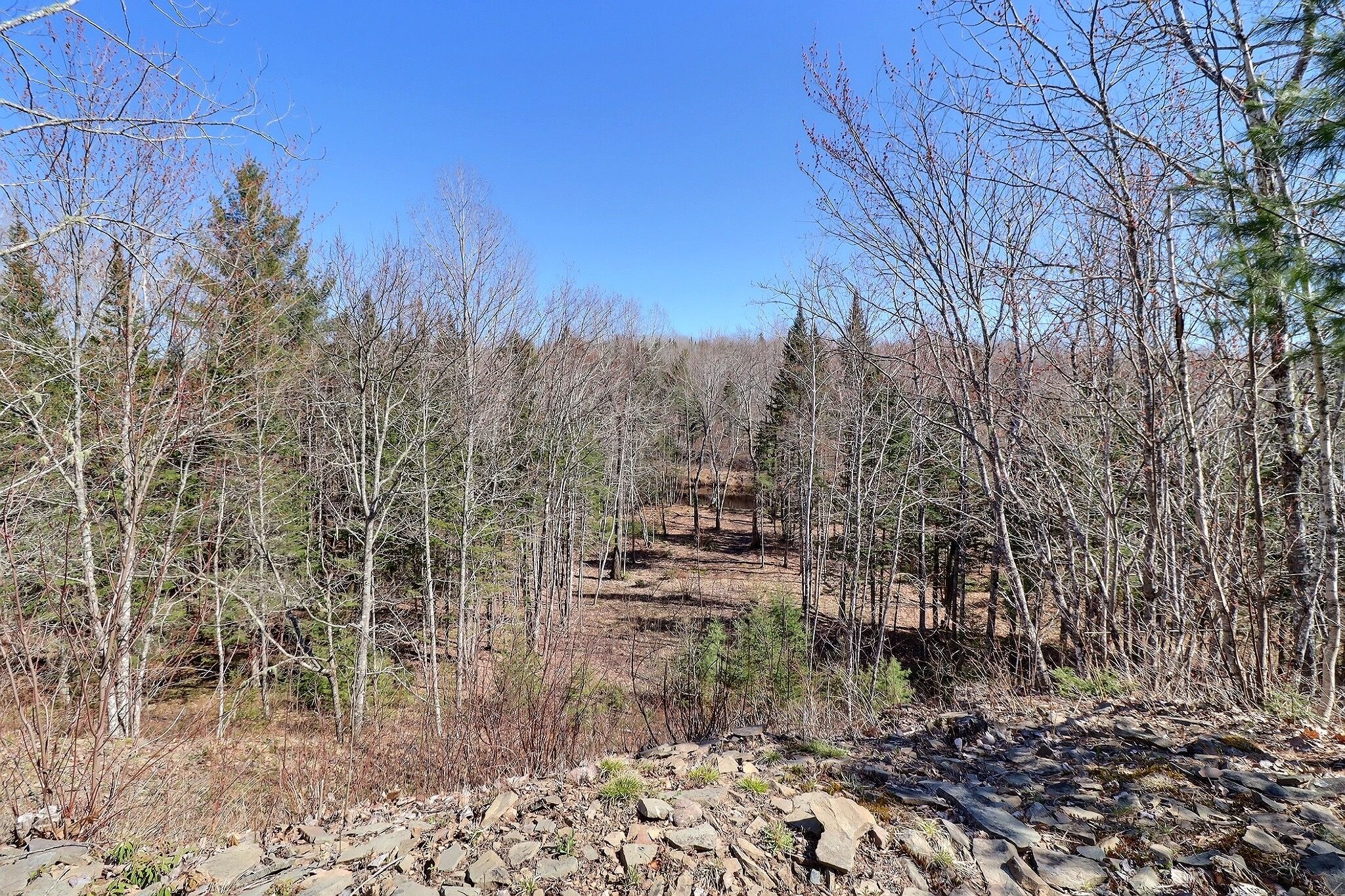 7790 Route 112, Hunters Home, NB E4C 4J5 PROPICSTA & MeasureMySpace