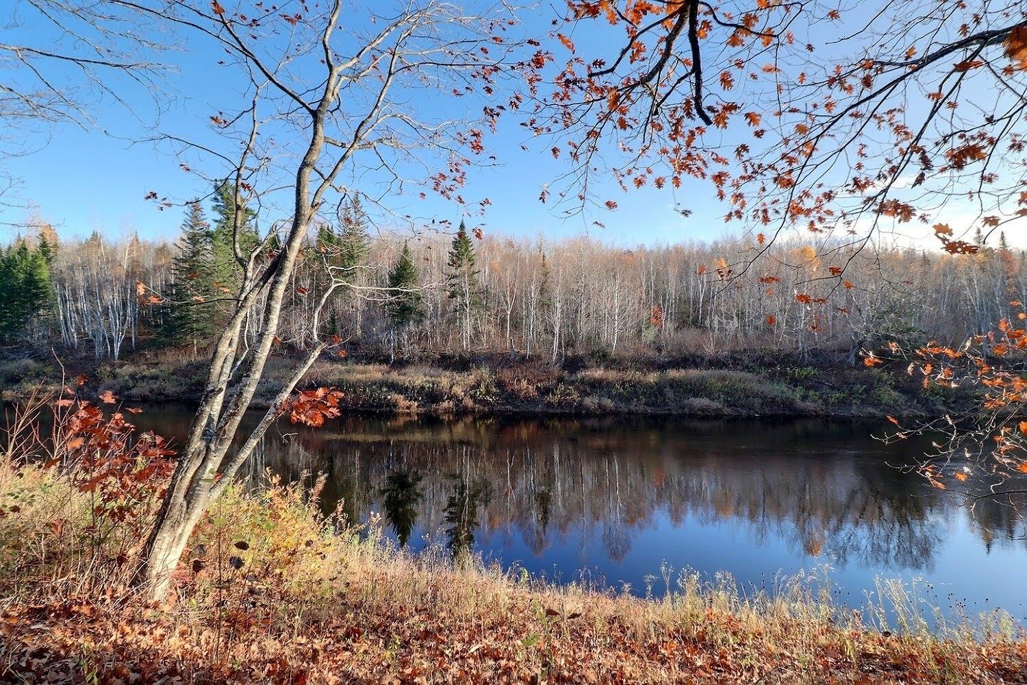 7790 Route 112, Hunters Home, NB E4C 4J5 PROPICSTA & MeasureMySpace