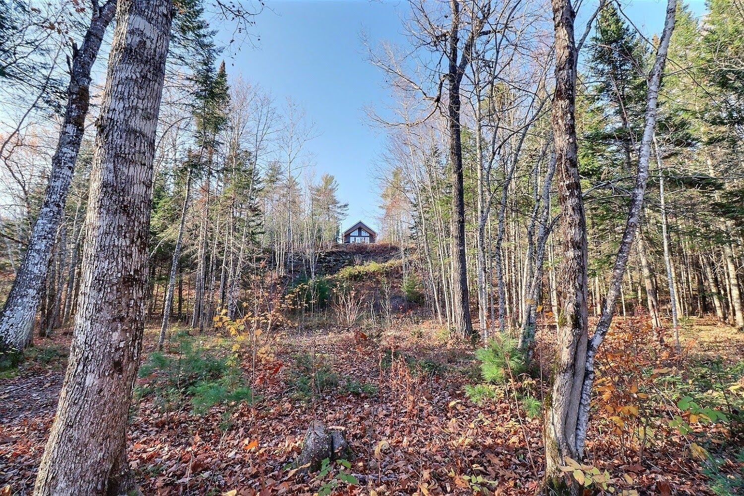 7790 Route 112, Hunters Home, NB E4C 4J5 PROPICSTA & MeasureMySpace