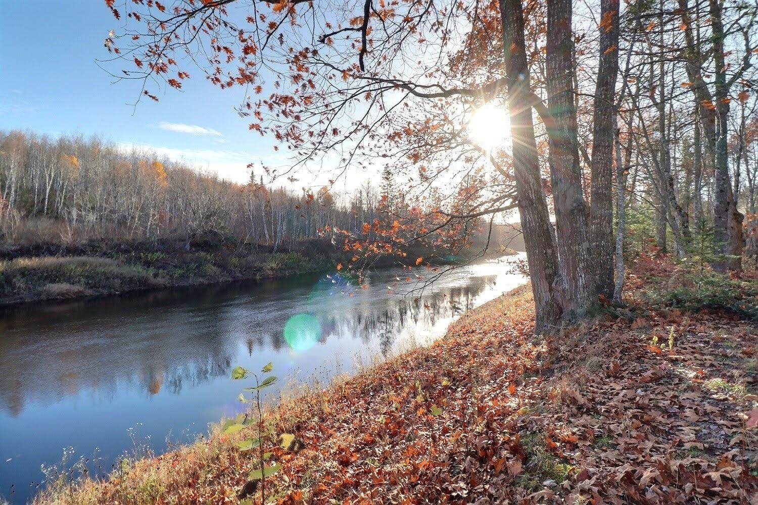 7790 Route 112, Hunters Home, NB E4C 4J5 PROPICSTA & MeasureMySpace