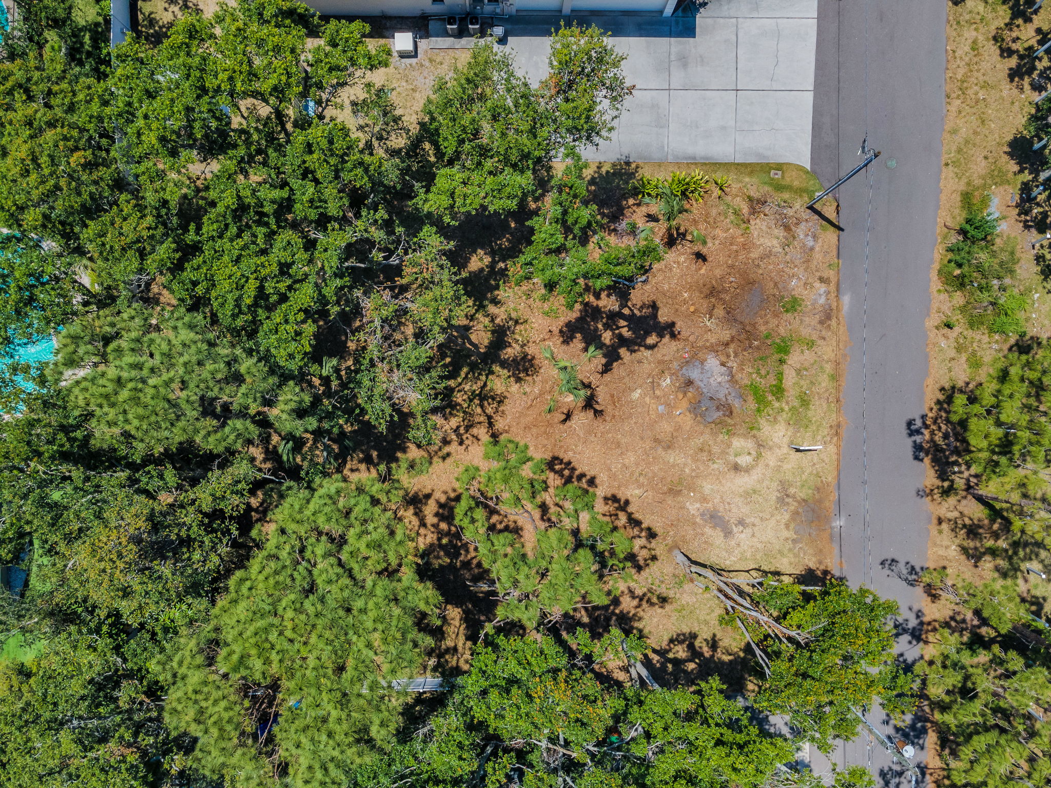 Aerial (10)