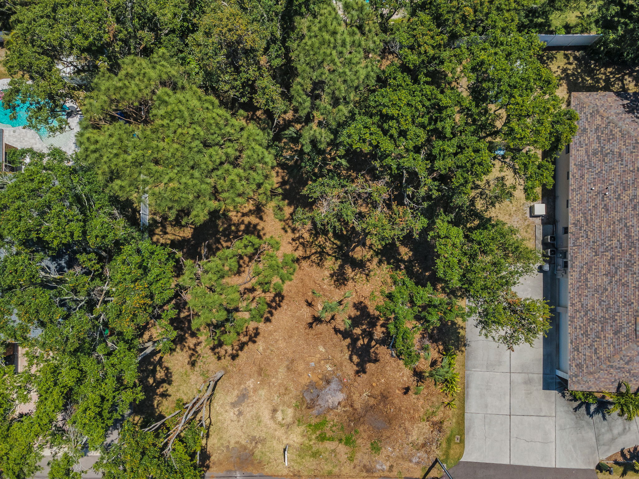 Aerial (11)