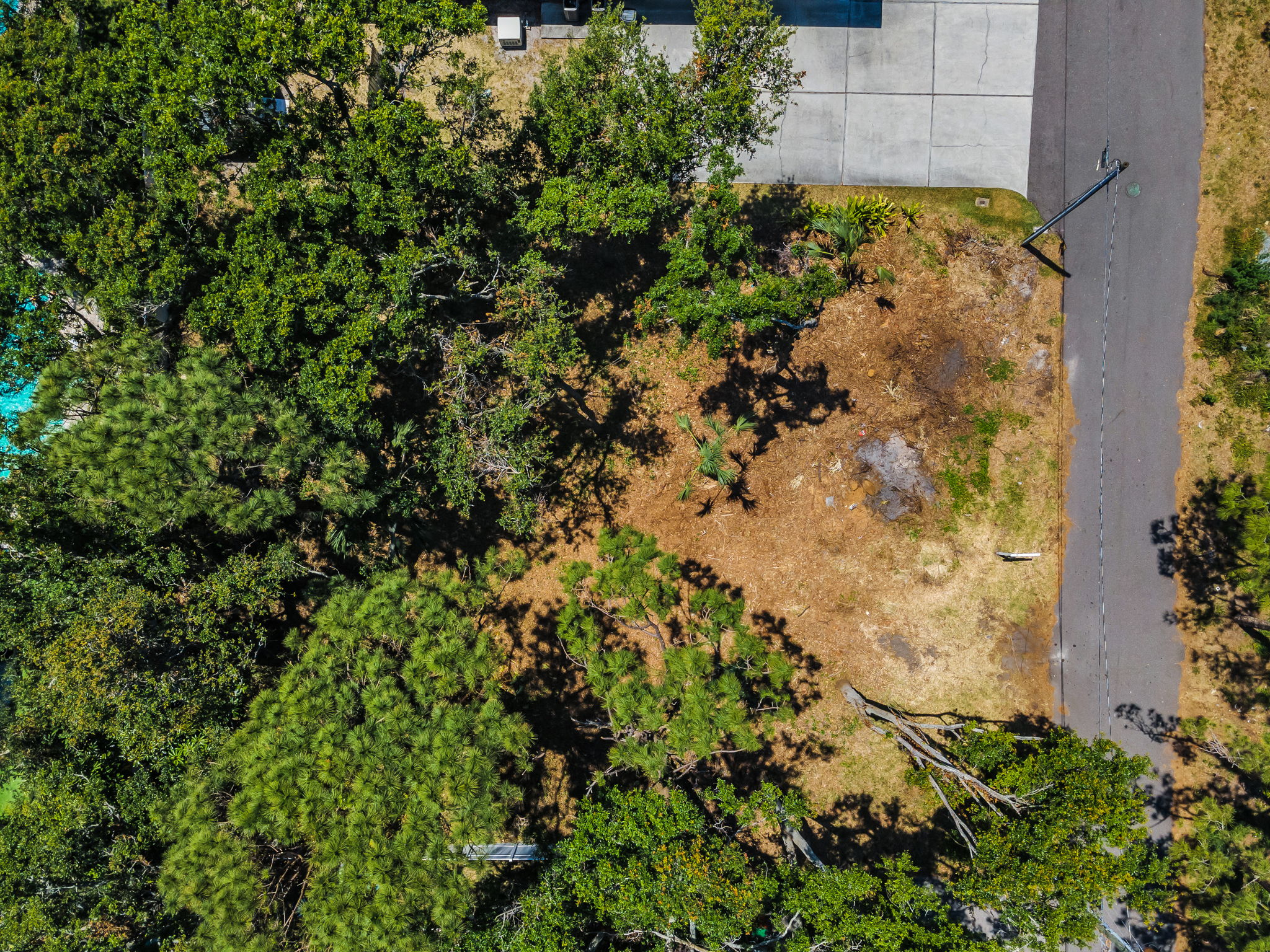 Aerial (14)