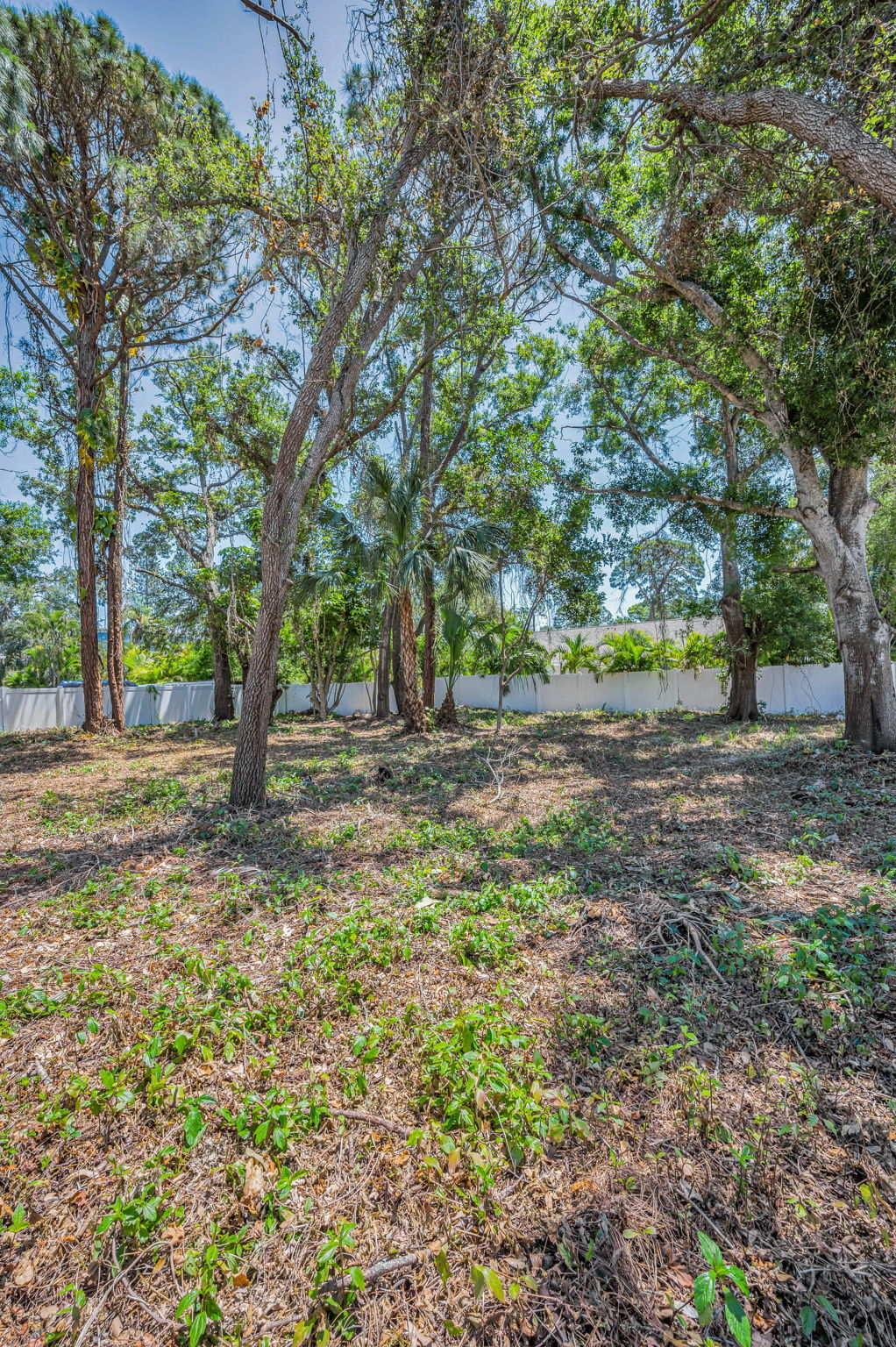 Vacant Lot10