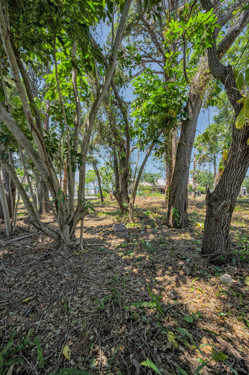 Vacant Lot14