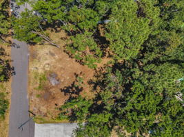 Aerial (12)