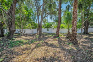 Vacant Lot11